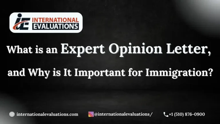 Understanding Recommendation Letters vs Expert Opinion Letters in EB-1A and EB-2 NIW Cases